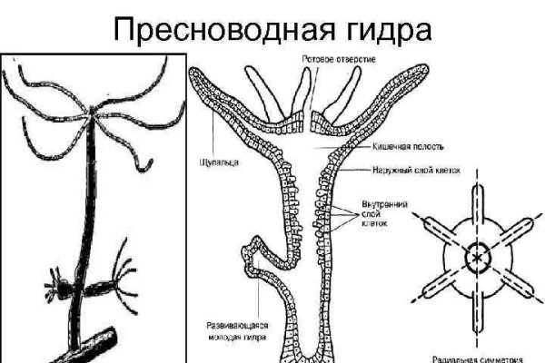 Как зайти на кракен